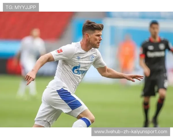 霍芬海姆前场支点成威胁:打造攻势核心的秘密武器 霍芬海姆前场支点成威胁:打造攻势核心的秘密武器