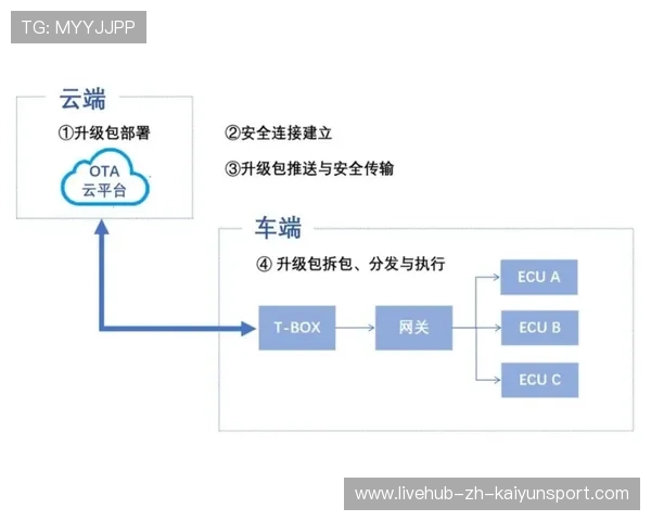 解析极限运动中的风险评估与应对机制